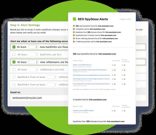 Link Assistant dashboard showing newly discovered backlinks pointing to a competitor's website