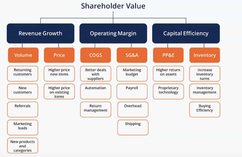 Shareholder value