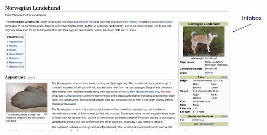 Wikipedia infobox