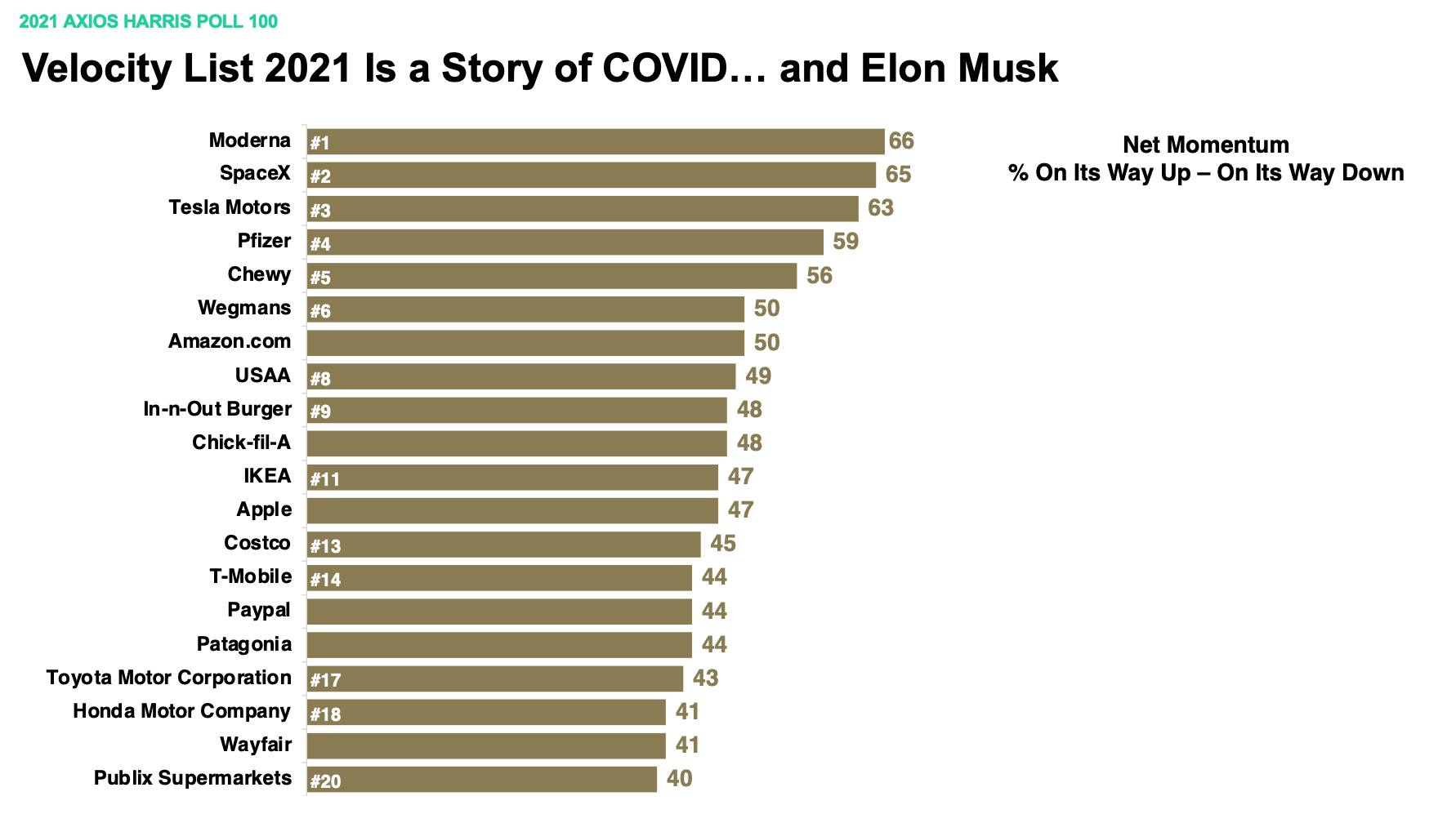 covid and elon