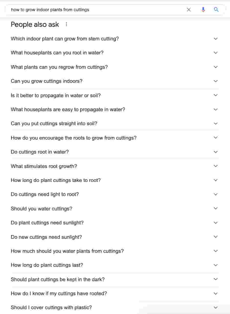 more people also ask