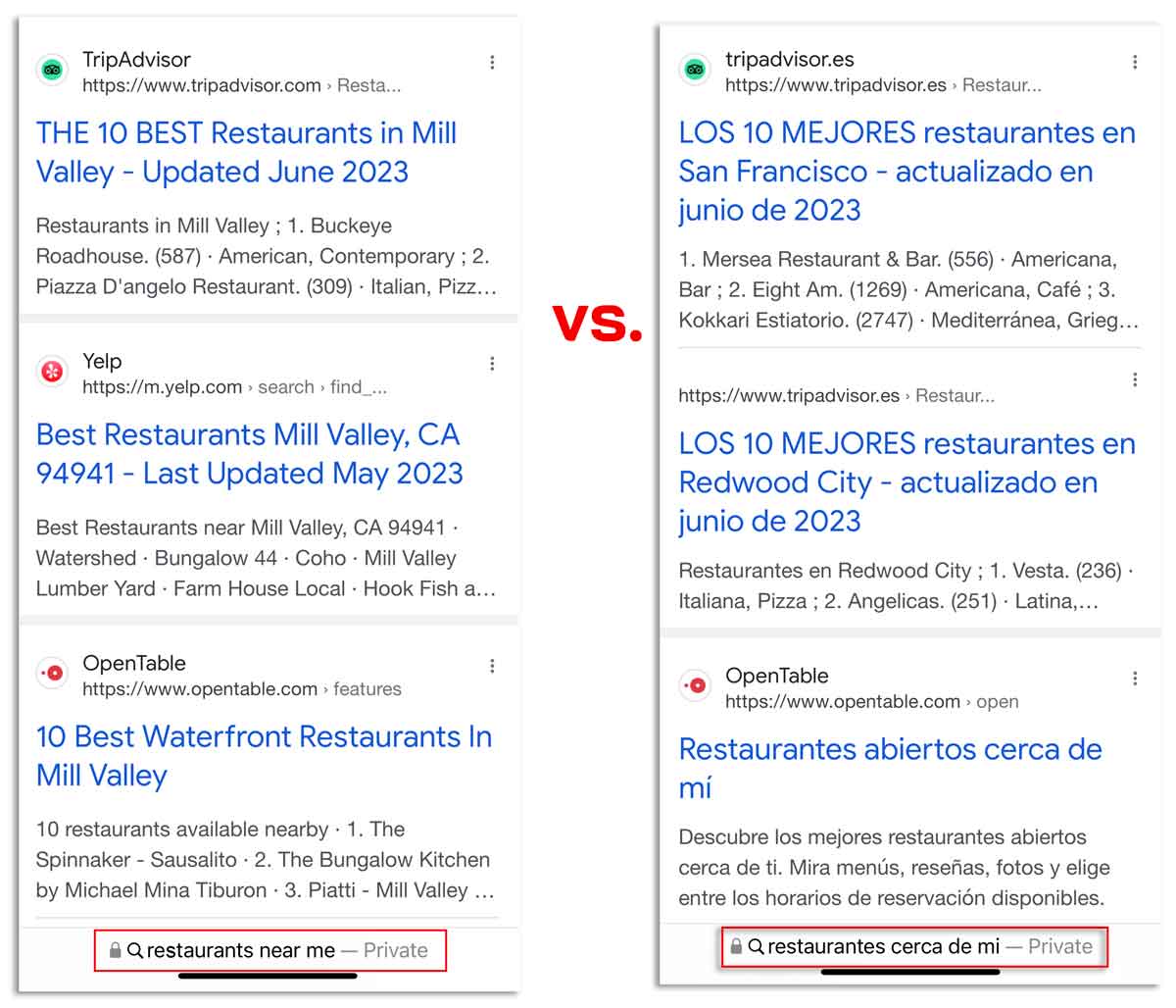 how language affects search results