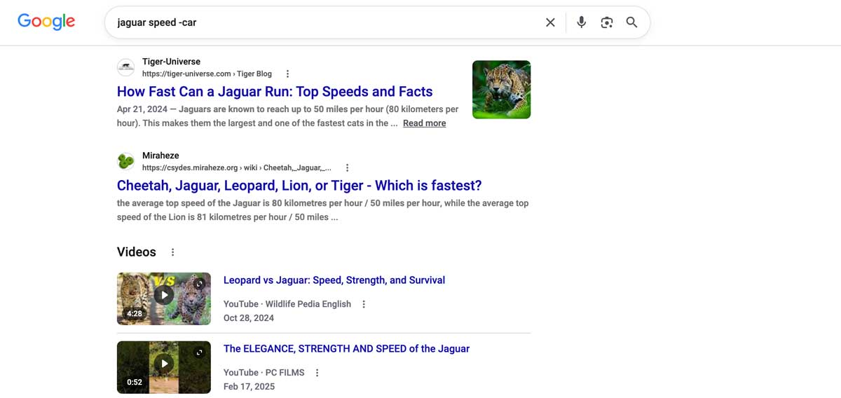 Google results for the search jaguar speed -car