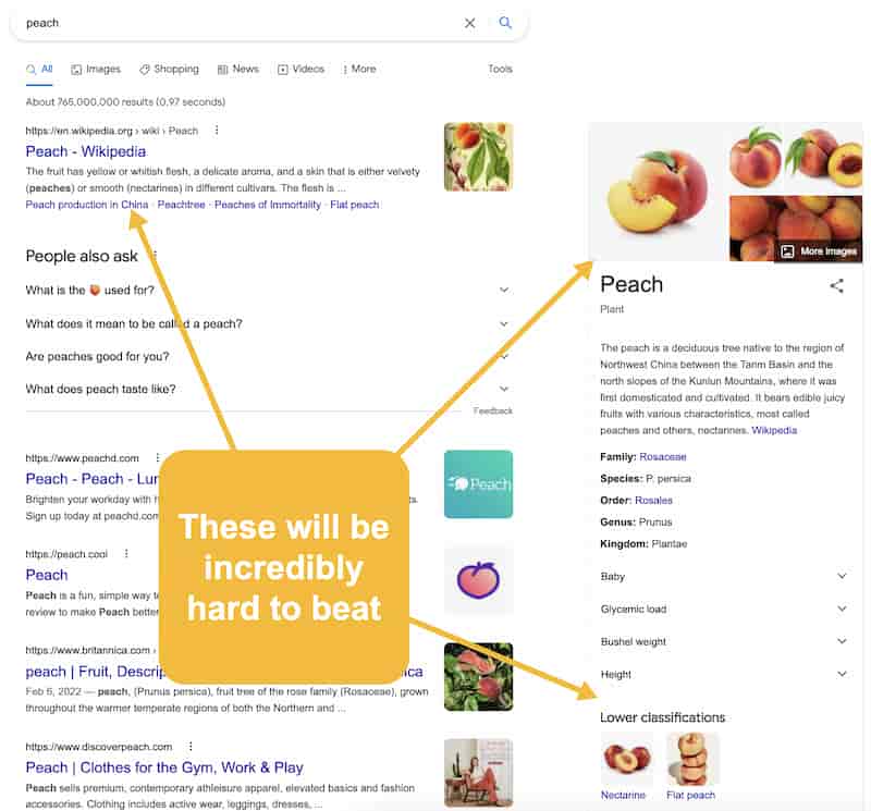 Knowledge Panel